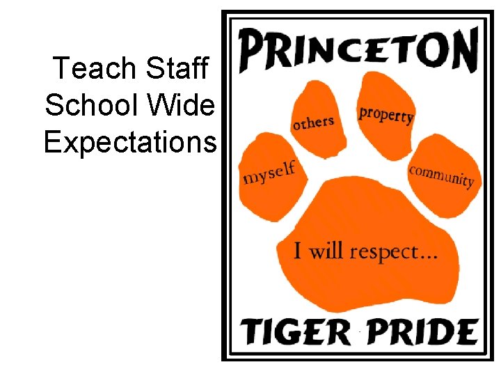 Teach Staff School Wide Expectations 