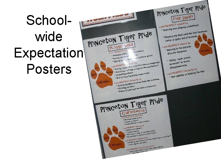 Schoolwide Expectation Posters 