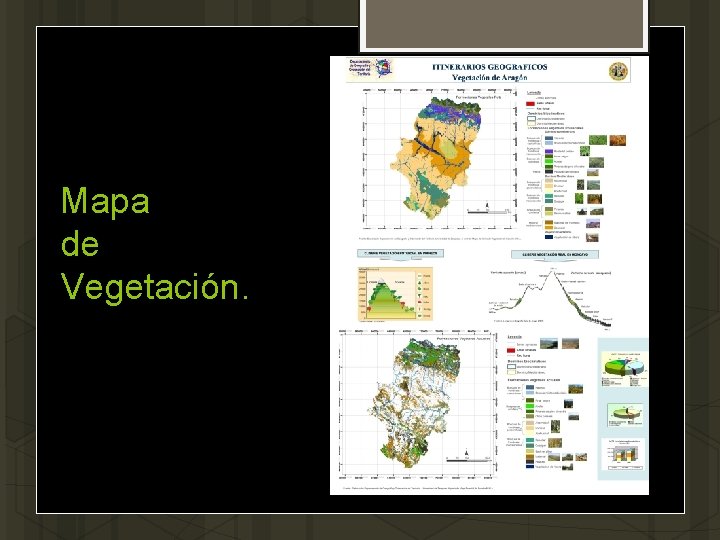 Mapa de Vegetación. 