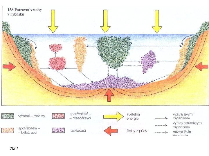 Obr. 7 