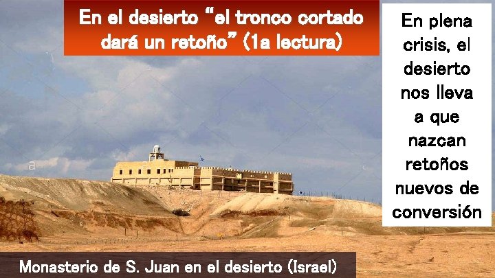 En el desierto “el tronco cortado dará un retoño” (1 a lectura) Monasterio de