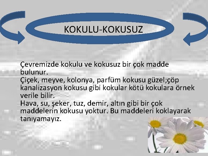 KOKULU-KOKUSUZ Çevremizde kokulu ve kokusuz bir çok madde bulunur. Çiçek, meyve, kolonya, parfüm kokusu