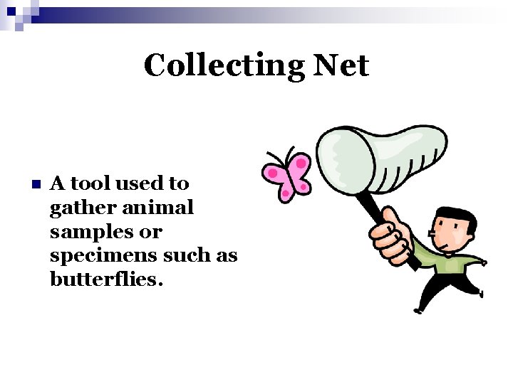 Collecting Net n A tool used to gather animal samples or specimens such as