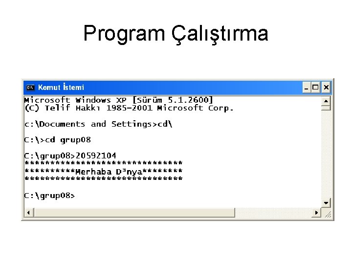 Program Çalıştırma 