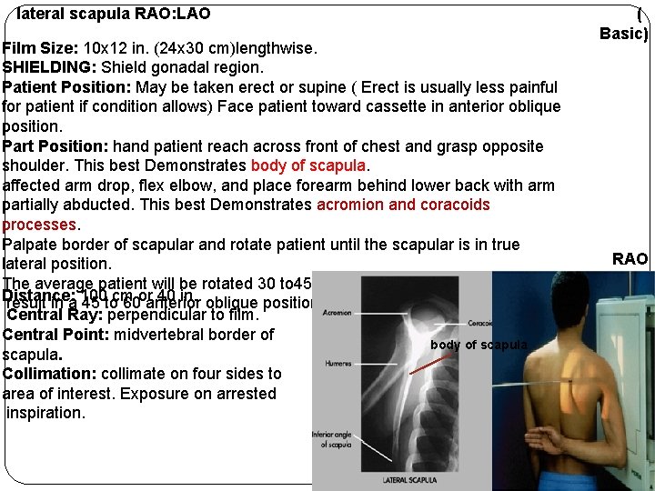lateral scapula RAO: LAO Film Size: 10 x 12 in. (24 x 30 cm)lengthwise. lateral scapula RAO: LAO Film Size: 10 x 12 in. (24 x 30 cm)lengthwise.