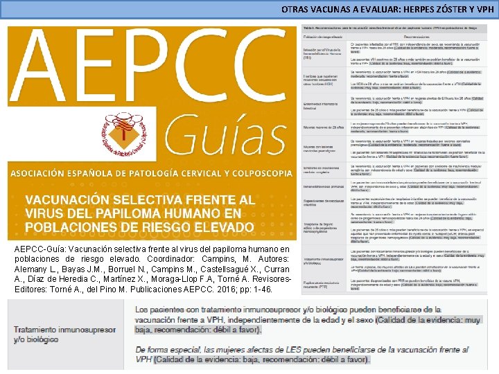 OTRAS VACUNAS A EVALUAR: HERPES ZÓSTER Y VPH AEPCC-Guía: Vacunación selectiva frente al virus