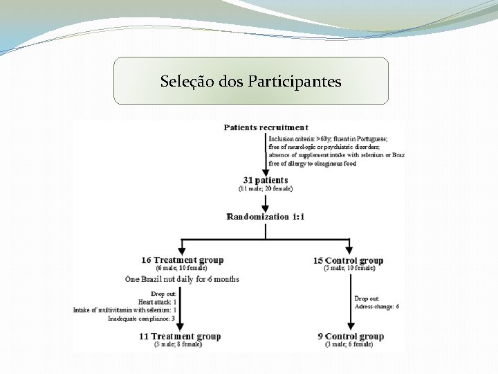 Seleção dos Participantes 