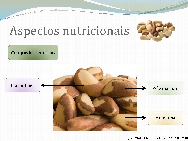 Aspectos nutricionais Compostos fenólicos Noz inteira Pele marrom Amêndoa JOURNAL FUNC. FOODS. , v.