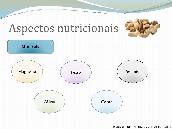 Aspectos nutricionais Minerais Magnésio Selênio Ferro Cálcio Cobre FOOD SCIENCE TECHN. , v. 42,