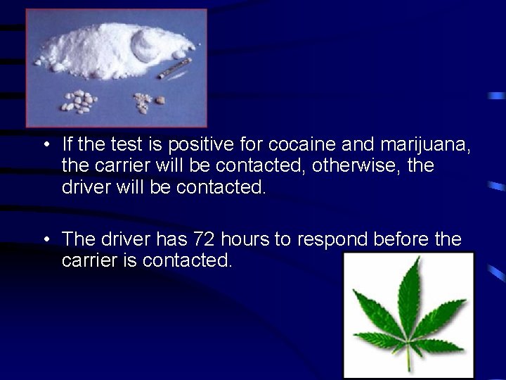  • If the test is positive for cocaine and marijuana, the carrier will
