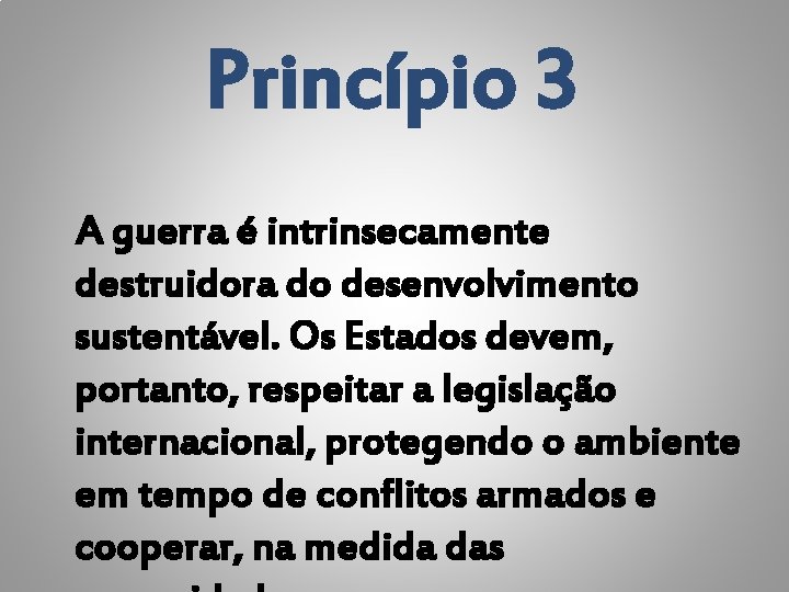 Princípio 3 A guerra é intrinsecamente destruidora do desenvolvimento sustentável. Os Estados devem, portanto,
