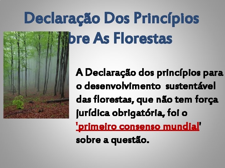 Declaração Dos Princípios Sobre As Florestas A Declaração dos princípios para o desenvolvimento sustentável