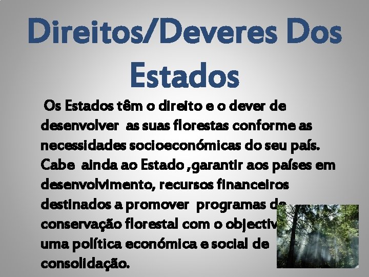 Direitos/Deveres Dos Estados Os Estados têm o direito e o dever de desenvolver as