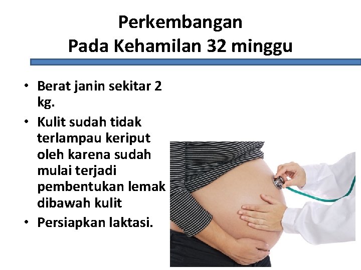 Perkembangan Pada Kehamilan 32 minggu • Berat janin sekitar 2 kg. • Kulit sudah