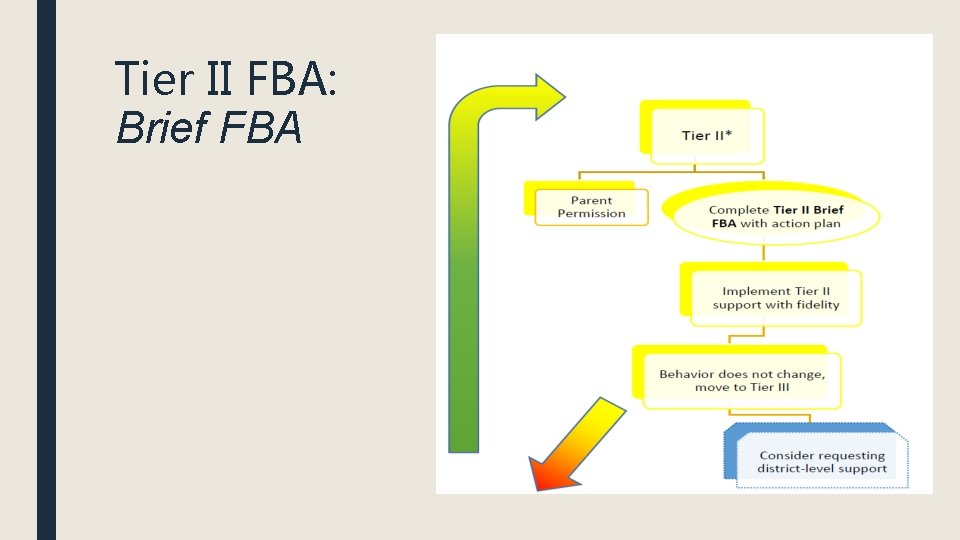 Tier II FBA: Brief FBA 