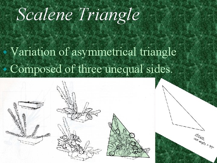 Scalene Triangle w Variation of asymmetrical triangle w Composed of three unequal sides. 