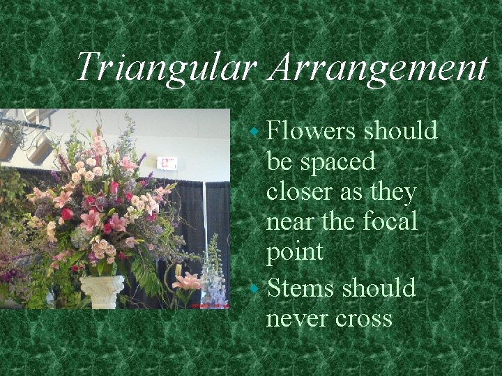 Triangular Arrangement w Flowers should be spaced closer as they near the focal point