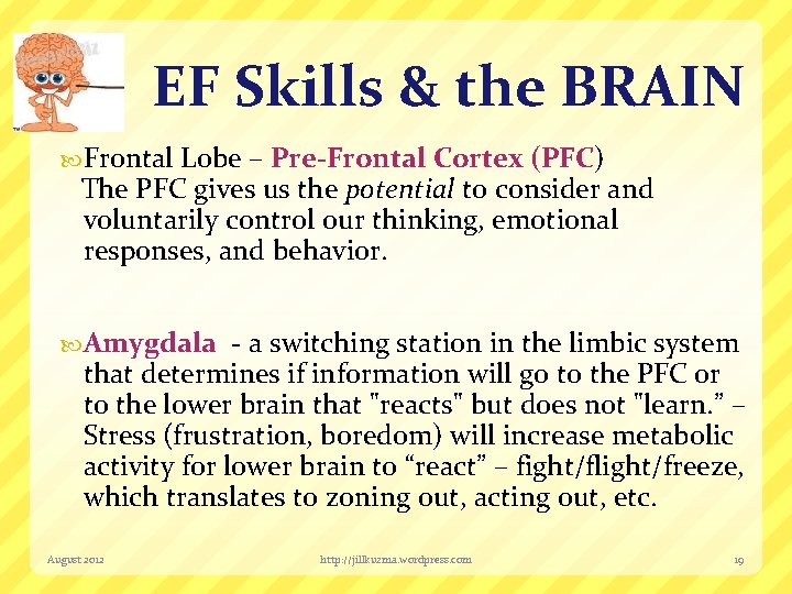 EF Skills & the BRAIN Frontal Lobe – Pre-Frontal Cortex (PFC) The PFC gives