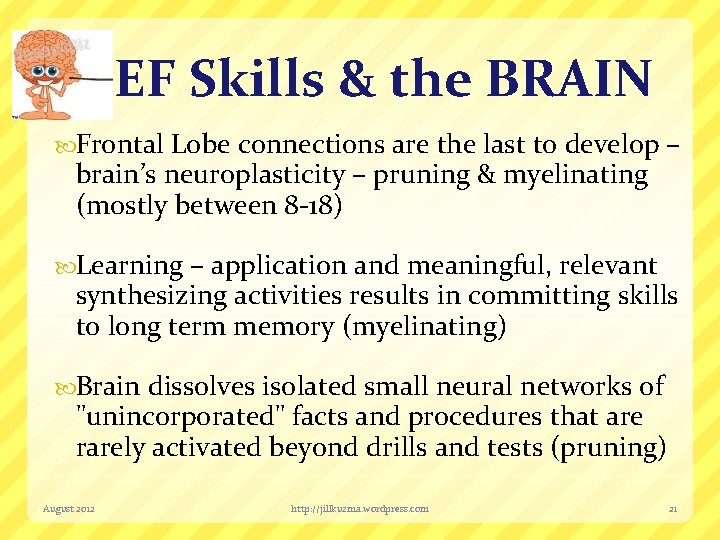 EF Skills & the BRAIN Frontal Lobe connections are the last to develop –