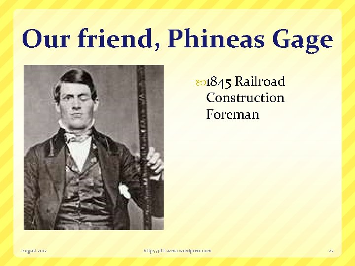 Our friend, Phineas Gage 1845 Railroad Construction Foreman August 2012 http: //jillkuzma. wordpress. com