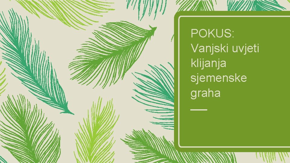 POKUS: Vanjski uvjeti klijanja sjemenske graha 