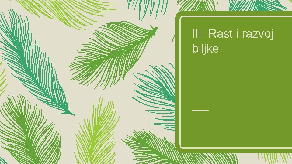 III. Rast i razvoj biljke III. Rast i razvoj biljke