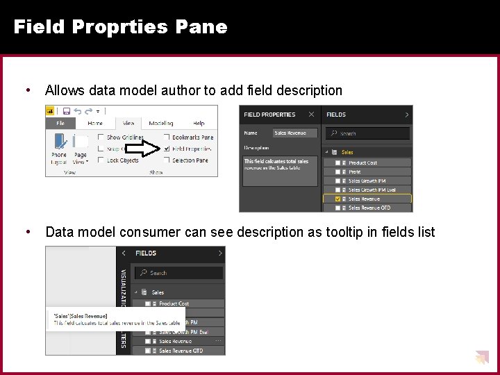 Field Proprties Pane • Allows data model author to add field description • Data