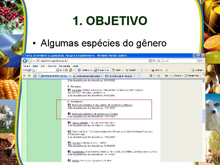 1. OBJETIVO • Algumas espécies do gênero 