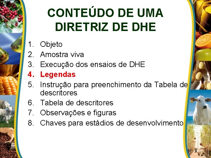 CONTEÚDO DE UMA DIRETRIZ DE DHE 1. 2. 3. 4. 5. Objeto Amostra viva