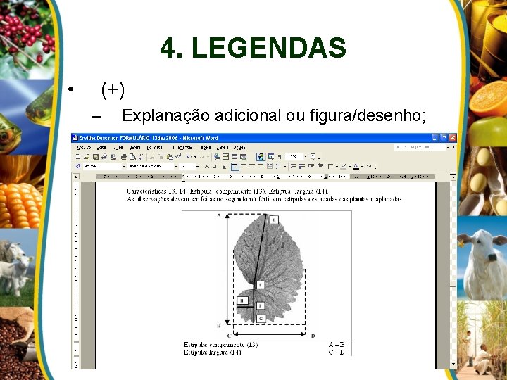 4. LEGENDAS • (+) – Explanação adicional ou figura/desenho; 