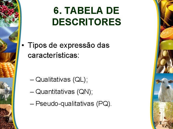 6. TABELA DE DESCRITORES • Tipos de expressão das características: – Qualitativas (QL); –