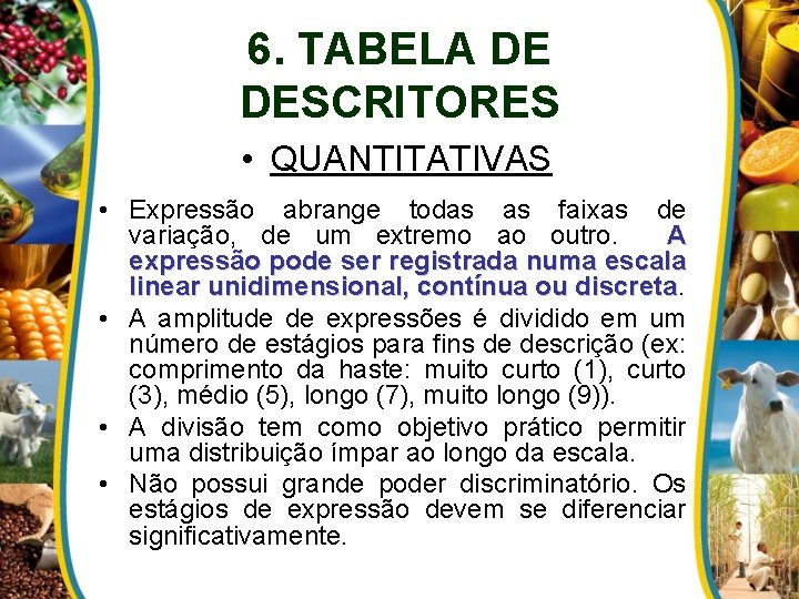 6. TABELA DE DESCRITORES • QUANTITATIVAS • Expressão abrange todas as faixas de variação,