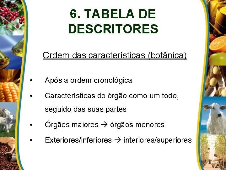 6. TABELA DE DESCRITORES Ordem das características (botânica) • Após a ordem cronológica •