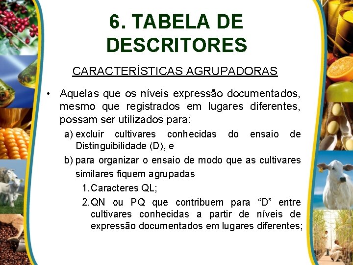 6. TABELA DE DESCRITORES CARACTERÍSTICAS AGRUPADORAS • Aquelas que os níveis expressão documentados, mesmo