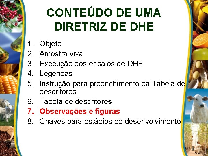 CONTEÚDO DE UMA DIRETRIZ DE DHE 1. 2. 3. 4. 5. Objeto Amostra viva