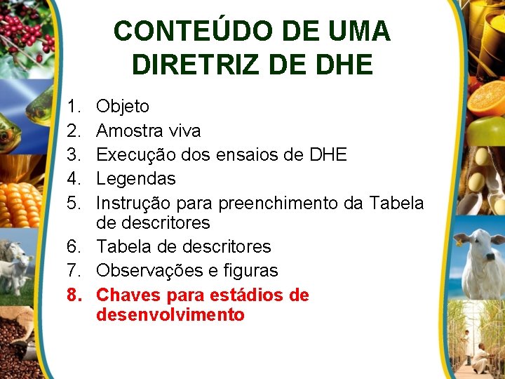 CONTEÚDO DE UMA DIRETRIZ DE DHE 1. 2. 3. 4. 5. Objeto Amostra viva