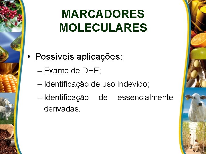 MARCADORES MOLECULARES • Possíveis aplicações: – Exame de DHE; – Identificação de uso indevido;