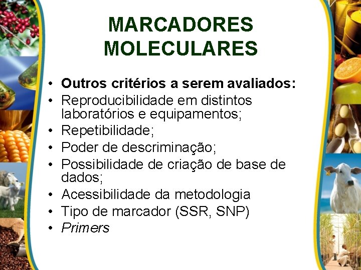 MARCADORES MOLECULARES • Outros critérios a serem avaliados: • Reproducibilidade em distintos laboratórios e