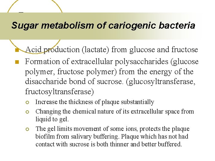 Sugar metabolism of cariogenic bacteria n n Acid production (lactate) from glucose and fructose