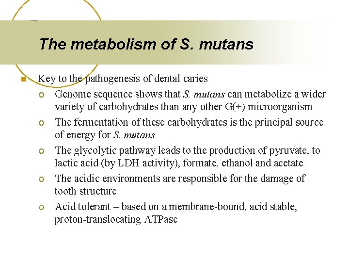 The metabolism of S. mutans n Key to the pathogenesis of dental caries ¡