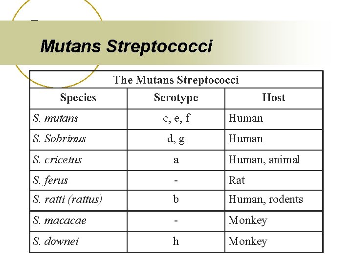 Mutans Streptococci The Mutans Streptococci Species S. mutans Serotype Host c, e, f Human