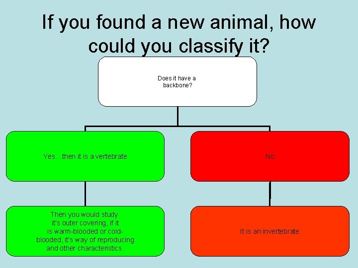 If you found a new animal, how could you classify it? Does it have If you found a new animal, how could you classify it? Does it have