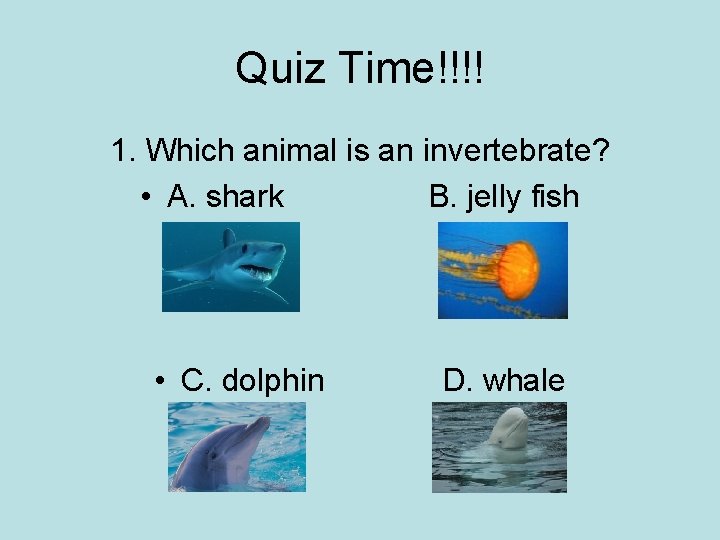 Quiz Time!!!! 1. Which animal is an invertebrate? • A. shark B. jelly fish Quiz Time!!!! 1. Which animal is an invertebrate? • A. shark B. jelly fish