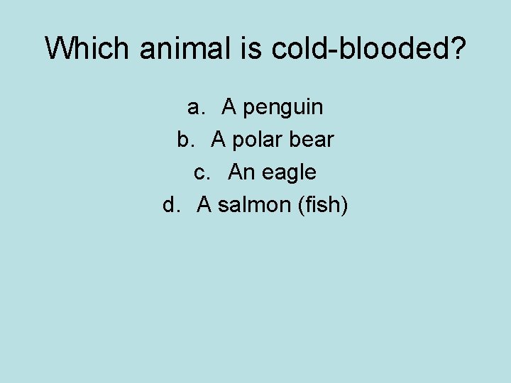 Which animal is cold-blooded? a. A penguin b. A polar bear c. An eagle Which animal is cold-blooded? a. A penguin b. A polar bear c. An eagle