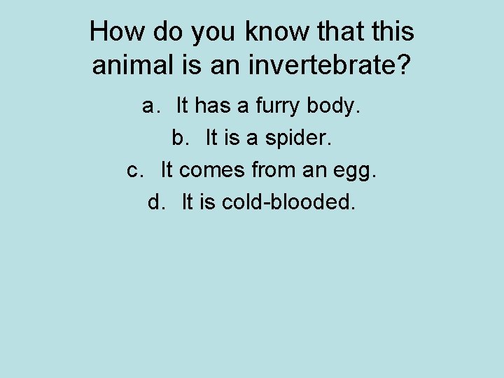 How do you know that this animal is an invertebrate? a. It has a How do you know that this animal is an invertebrate? a. It has a