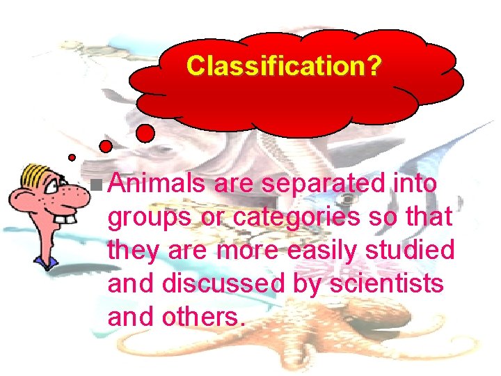 Classification? n Animals are separated into groups or categories so that they are more Classification? n Animals are separated into groups or categories so that they are more