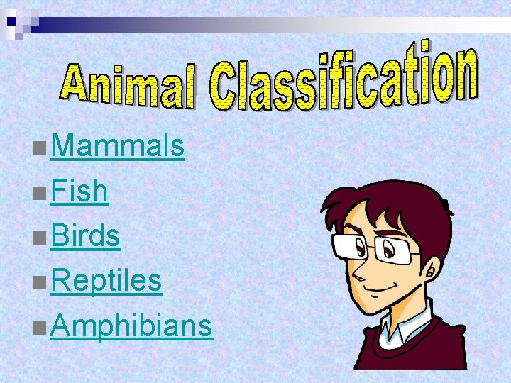 n Mammals n Fish n Birds n Reptiles n Amphibians n Mammals n Fish n Birds n Reptiles n Amphibians