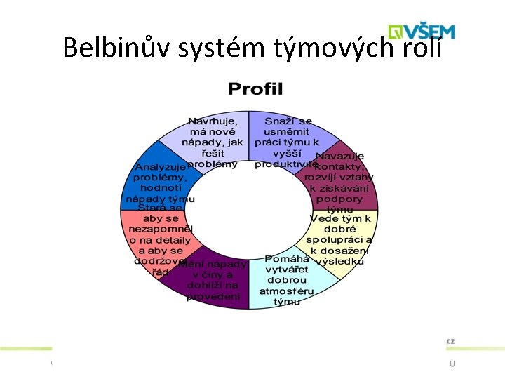 Belbinův systém týmových rolí 