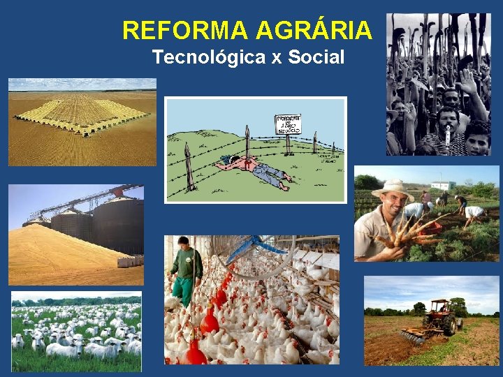 REFORMA AGRÁRIA Tecnológica x Social 