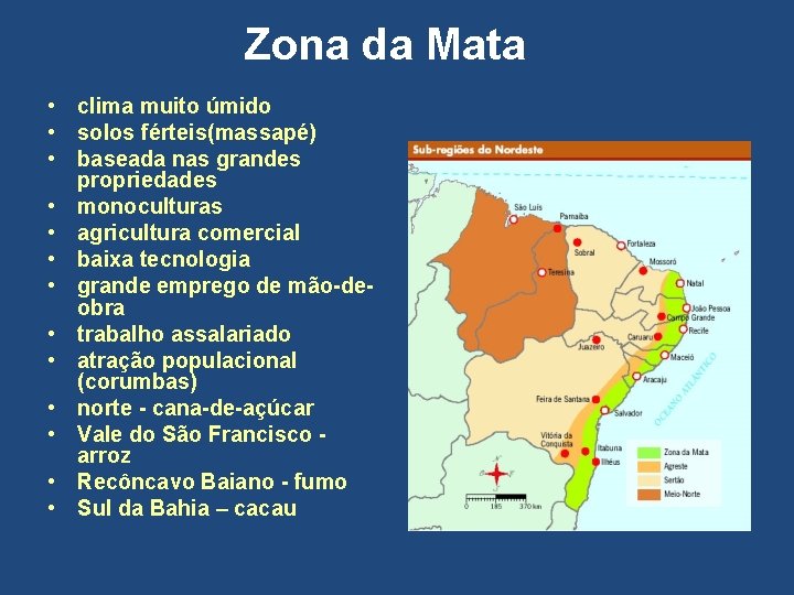Zona da Mata • clima muito úmido • solos férteis(massapé) • baseada nas grandes